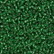 Miyuki rocailles kralen 11/0 - Green silver lined 11-16